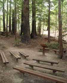 Ayana Grove Chapel