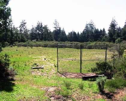 Baseball Field