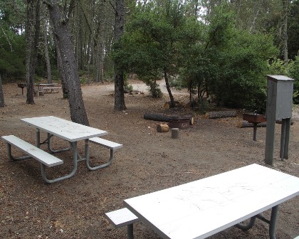 Campsite
