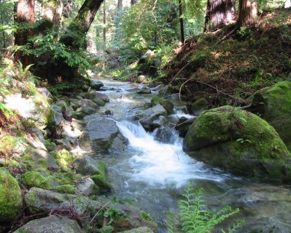 Scott Creek