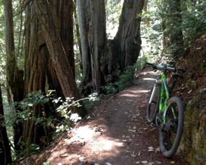 Trail